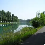 Fiori Sull'acqua * Peschiera del Garda