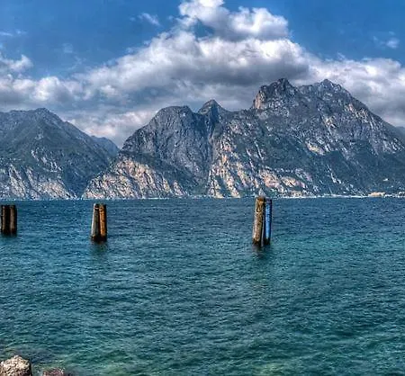 Fiori Sull'acqua * Peschiera del Garda